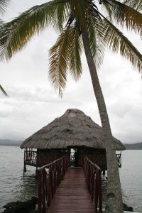 Karibik-Kurzurlaub-Insel-Palme