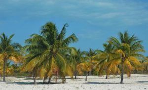 Karibik Kurzurlaub Jahreszeit